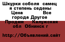 Шкурки соболя (самец) 1-я степень седены › Цена ­ 12 000 - Все города Другое » Продам   . Калужская обл.,Обнинск г.